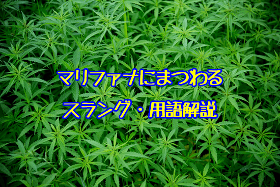 マリファナにまつわるスラング 用語解説 日本語ラップ情報マガジン Jマガ